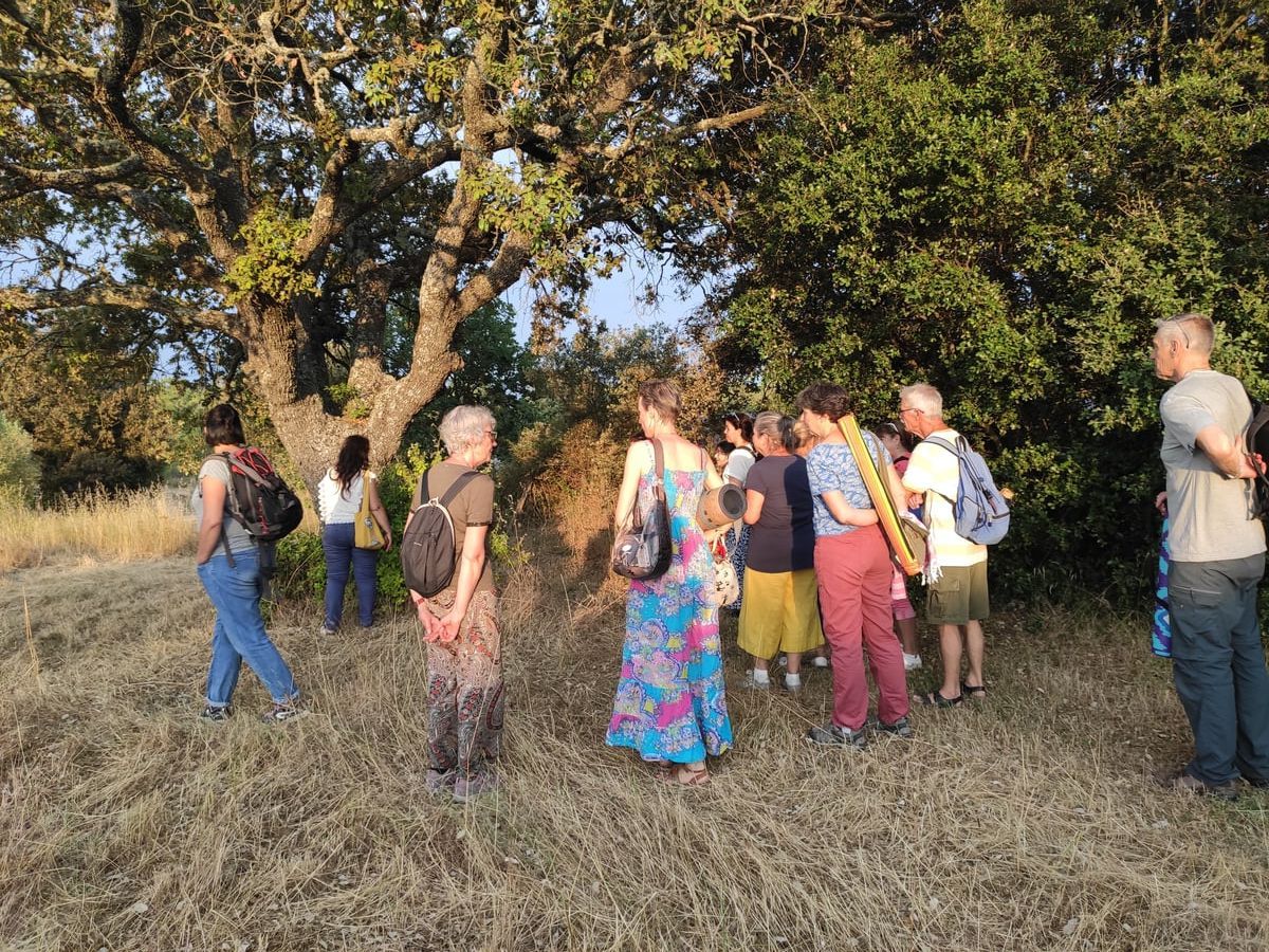 Bain de forêt en Provence - Immersion dans la nature