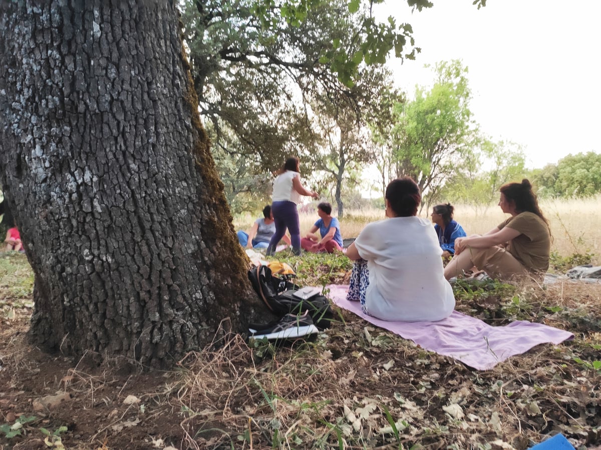 Bain de forêt au Domaine de la Blaque - Ressourcement