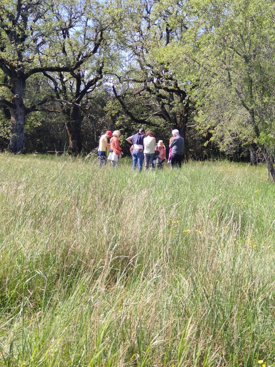 Balade botanique en Provence - Découverte des plantes