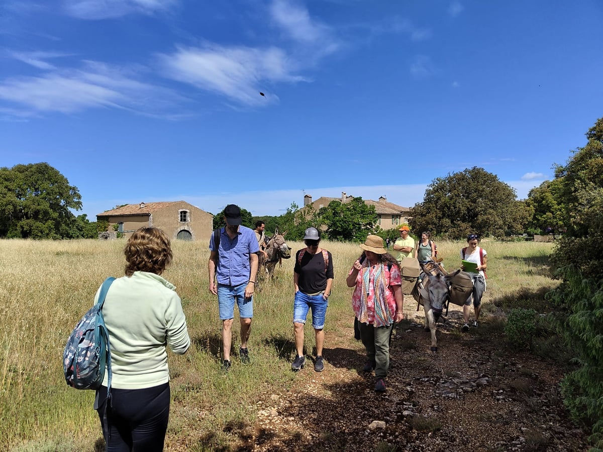 Balade botanique - Flore provençale