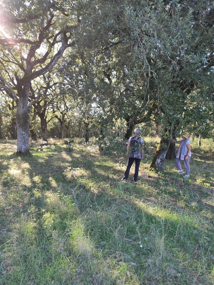 Balade botanique - Nature en Provence Verte